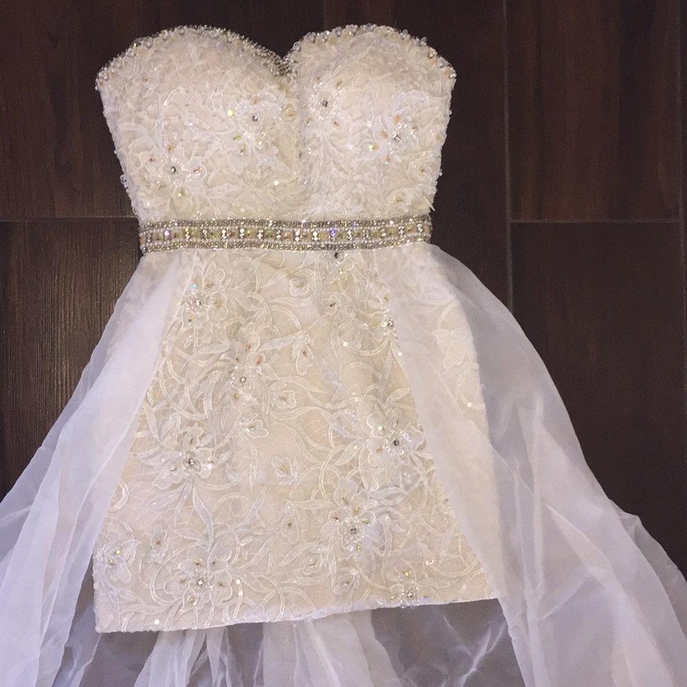 Terani couture evening dress
